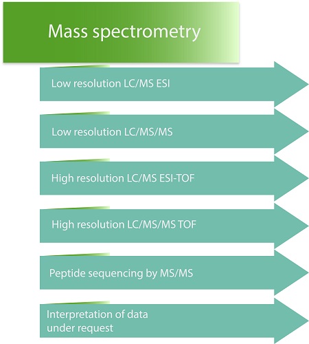 Mass spectrometry.1