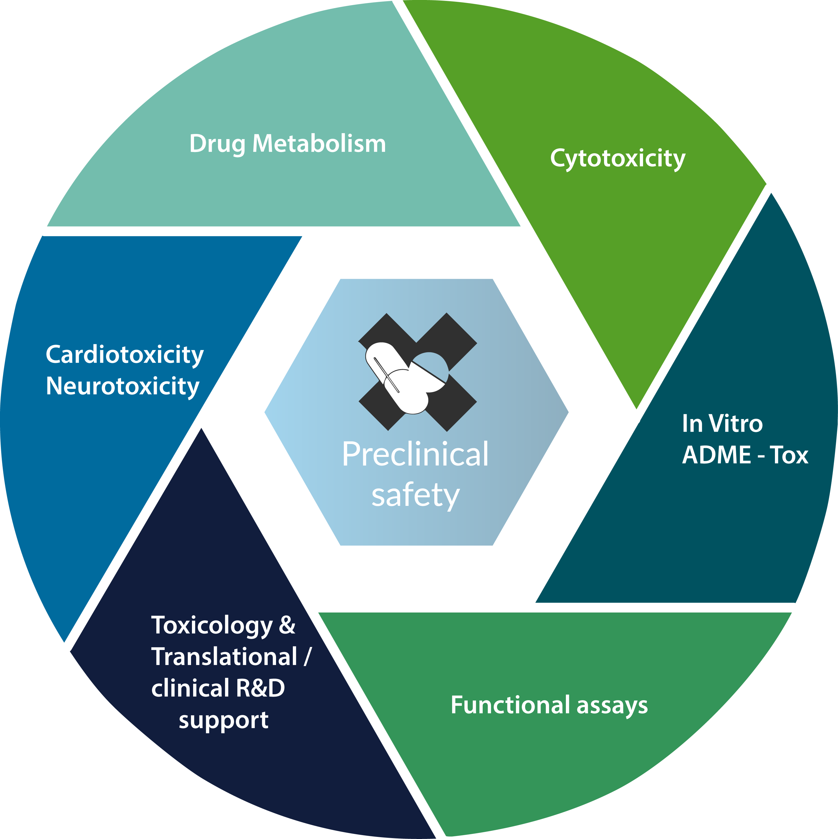 Preclinical safety