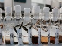 Microbiología y Fermentación