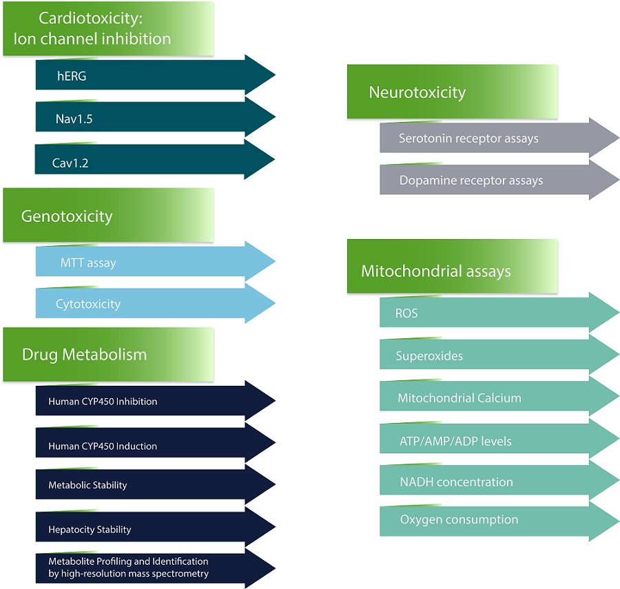 preclinical safety