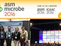 ▪ ASM Microbe 2016,  June 16-20, Boston – USA