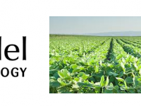 ▪ Mendel y MEDINA colaboran buscando posibles aplicaciones agricolas a la collección de productos naturales