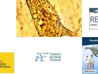 ▪ RICET fortalece la investigación traslacional en enfermedades tropicales