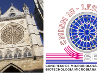 ▪ VI CMIBM, Industrial Microbiology Meeting, September 12-14, Léon