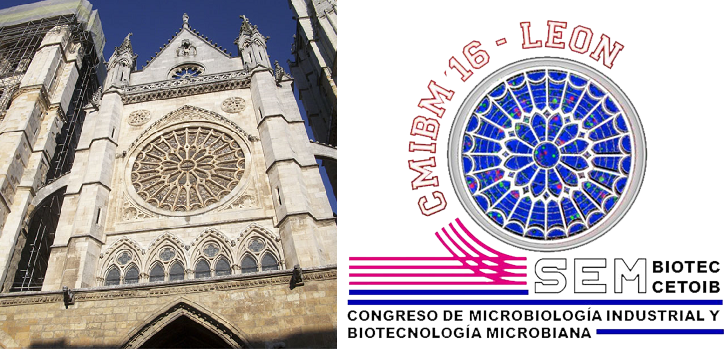 ▪ VI CMIBM, Industrial Microbiology Meeting, September 12-14, Léon