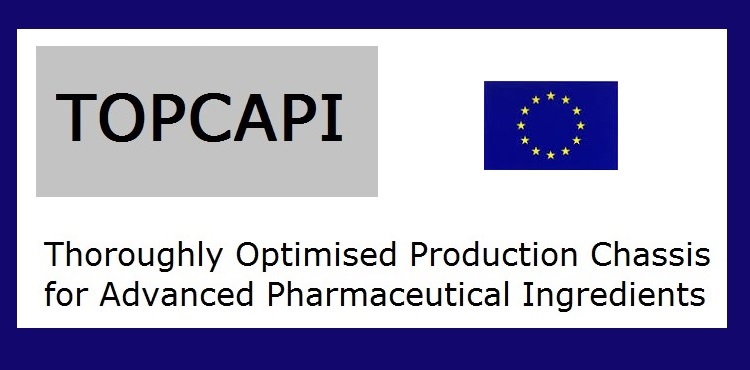 ▪ European Project H2020 TOPCAPI, for the generation of microbial cell factories