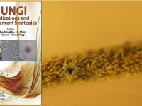 ▪ “Fungal Secondary Metabolites as Source of Antifungal Compounds”, a book Chapter by MEDINA