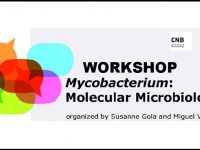▪ WORKSHOP – Mycobacterium: Molecular Microbiology, 7th of April – Madrid