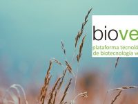 ▪ MEDINA, new member of BIOVEGEN