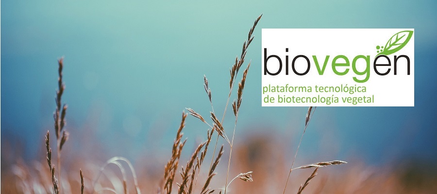 ▪ MEDINA en BIOVEGEN: Plataforma Tecnológica de Biotecnología Vegetal