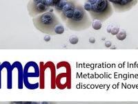 ▪ IIMENA “Integration of Informatics and Metabolic Engineering for the discovery of Novel Antibiotics”