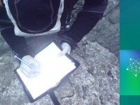 ▪ BLUE and GREEN ‘s Summer School on Marine Sampling, 19-22 June 2017, Madeira, Portugal