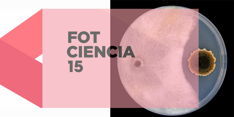 ▪ “Fungi competition” wins the modality of sustainable agriculture of Fotciencia”15 contest.