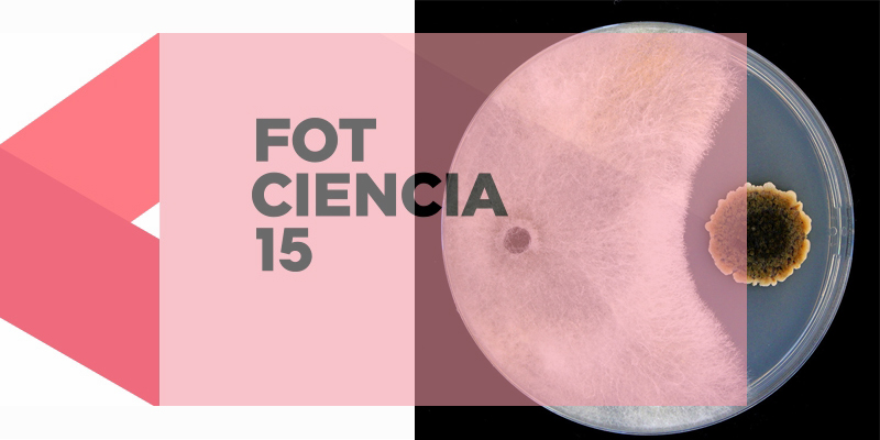 ▪ FOTCIENCIA#15: Fotografía ganadora de la modalidad agricultura sostenible