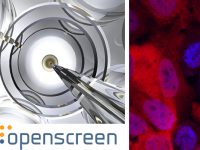▪ Fundación MEDINA, drug discovery center of the new European Infrastructure EU-OPENSCREEN ERIC.