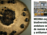 ▪ La Fundación MEDINA explora la biodiversidad andaluza en busca de moléculas con actividad antifúngica y antitumoral
