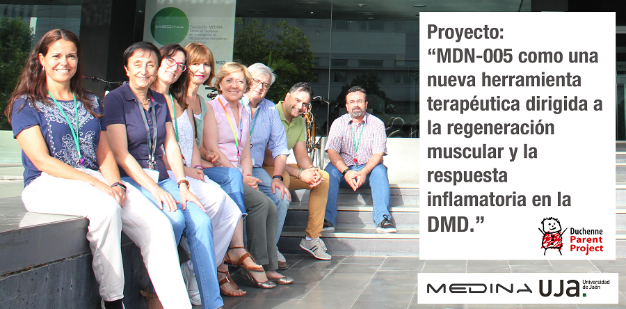 ▪ Proyecto: “MDN-0005 como una nueva herramienta terapéutica dirigida a la regeneración muscular y la respuesta inflamatoria en la DMD”