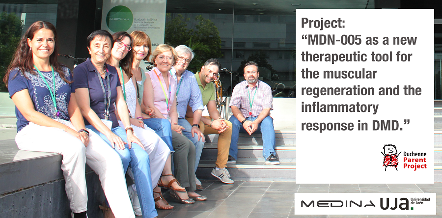 ▪ Project: “MDN-0005 as a new therapeutic tool for the muscular regeneration and the inflammatory response in DMD”