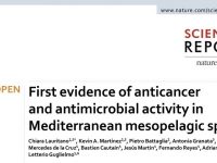 Primera evidencia de actividad anticancerígena y antimicrobiana en especies mesopelágicas mediterráneas.