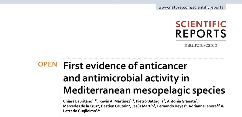 First evidence of anticancer and antimicrobial activity in Mediterranean mesopelagic species.