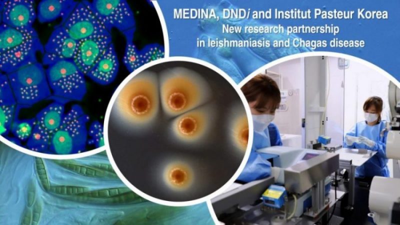 Fundación MEDINA, DNDi and Institut Pasteur Korea announce new funding from “la Caixa” Health Research for research partnership to discover new natural products against leishmaniasis and Chagas disease