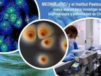 La Fundación MEDINA, DNDi y el Instituto Pasteur Korea anuncian su alianza para el descubrimiento de nuevos productos naturales frente a leishmaniasis y la enfermedad de Chagas financiada por “la Caixa” Health Research