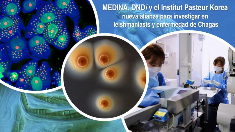 La Fundación MEDINA, DNDi y el Instituto Pasteur Korea anuncian su alianza para el descubrimiento de nuevos productos naturales frente a leishmaniasis y la enfermedad de Chagas financiada por “la Caixa” Health Research