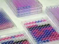 Biochemical Assays