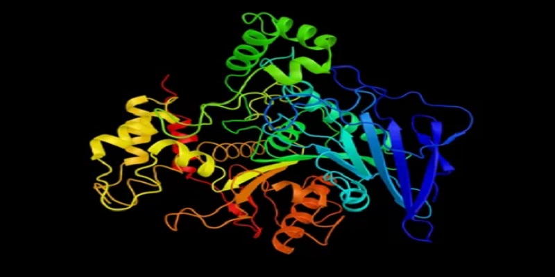 Protein Lab