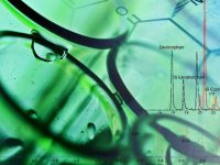 Bioanalytical Assays