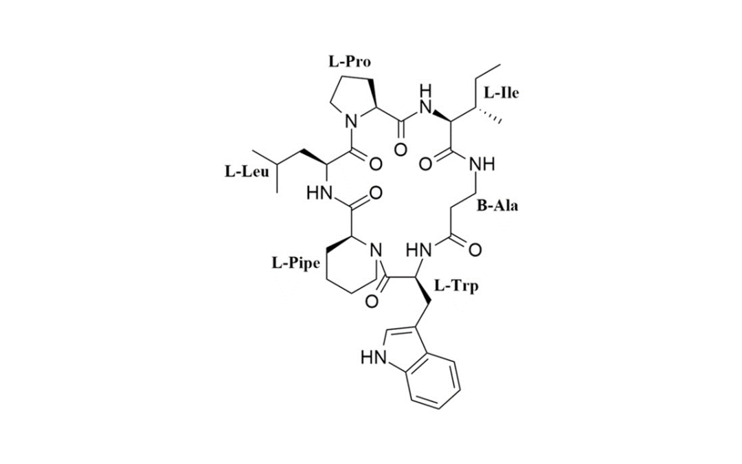 Pipecolisporin, un nuevo péptido cíclico con interesantes propiedades antiparasitarias.