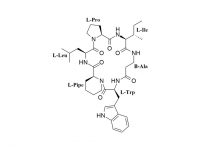 Pipecolisporin, un nuevo péptido cíclico con interesantes propiedades antiparasitarias.