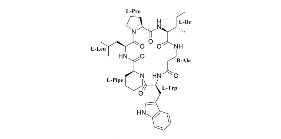 Pipecolisporin, a novel cyclic peptide with interesting antiparasitic properties