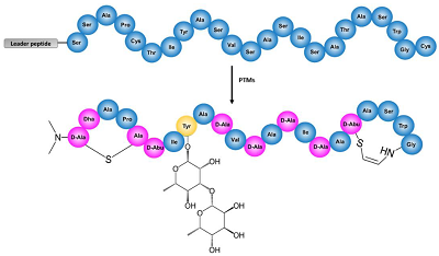 Our article on new antibiotic Cacaoidin heterologous expression promoted to the Editor’s Choice Articles Section of the journal Antibiotics