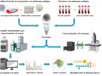 MEDINA en colaboración con investigadores de la UGR describe panel de potenciales biomarcadores de melanoma maligno