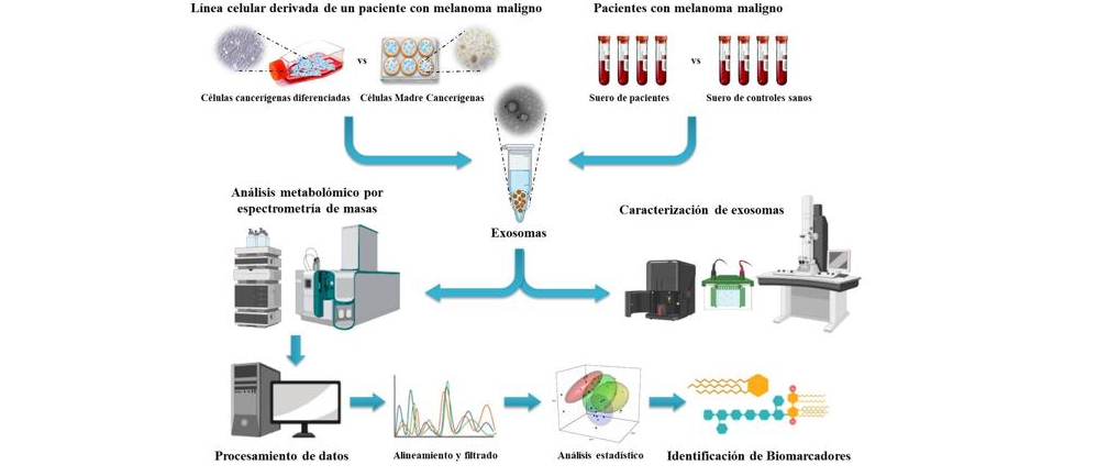 MEDINA en colaboración con investigadores de la UGR describe panel de potenciales biomarcadores de melanoma maligno