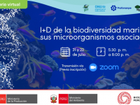 “I+D de la biodiversidad marina y sus microorganismos asociados”