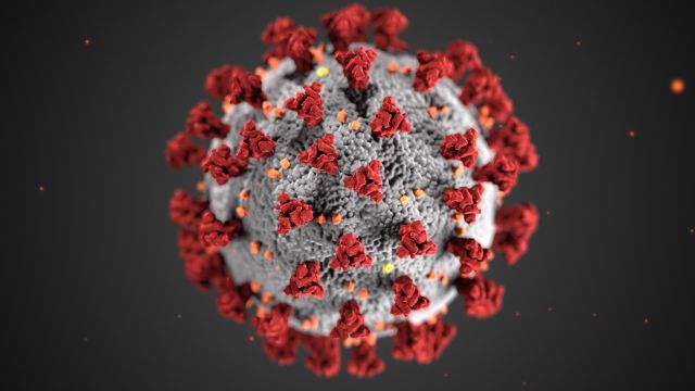 Covid-19 -Virus Assays