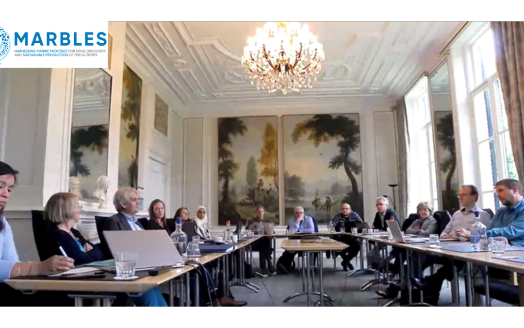Inicio de MARBLES, nuevo proyecto financiado por el Programa Horizonte 2020 de la UE para aprovechar el poder de los microbios marinos y sus moléculas bioactivas.