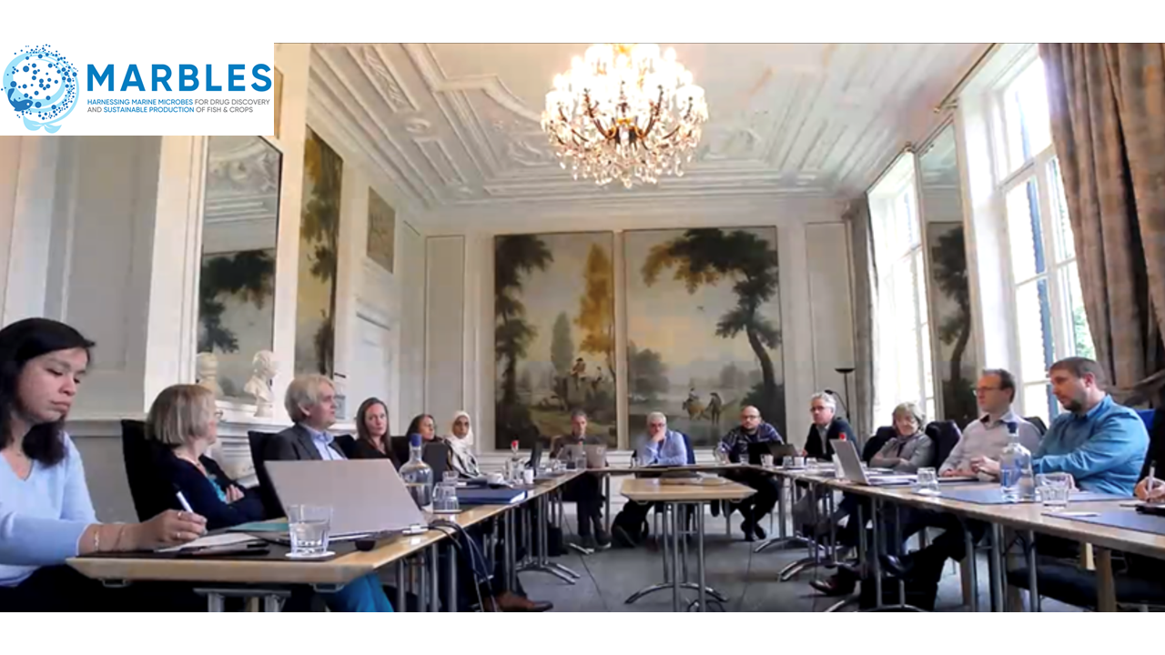 Inicio de MARBLES, nuevo proyecto financiado por el Programa Horizonte 2020 de la UE para aprovechar el poder de los microbios marinos y sus moléculas bioactivas.