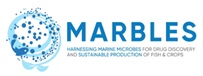 logo-marbles