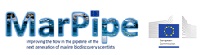 logo-marpipe