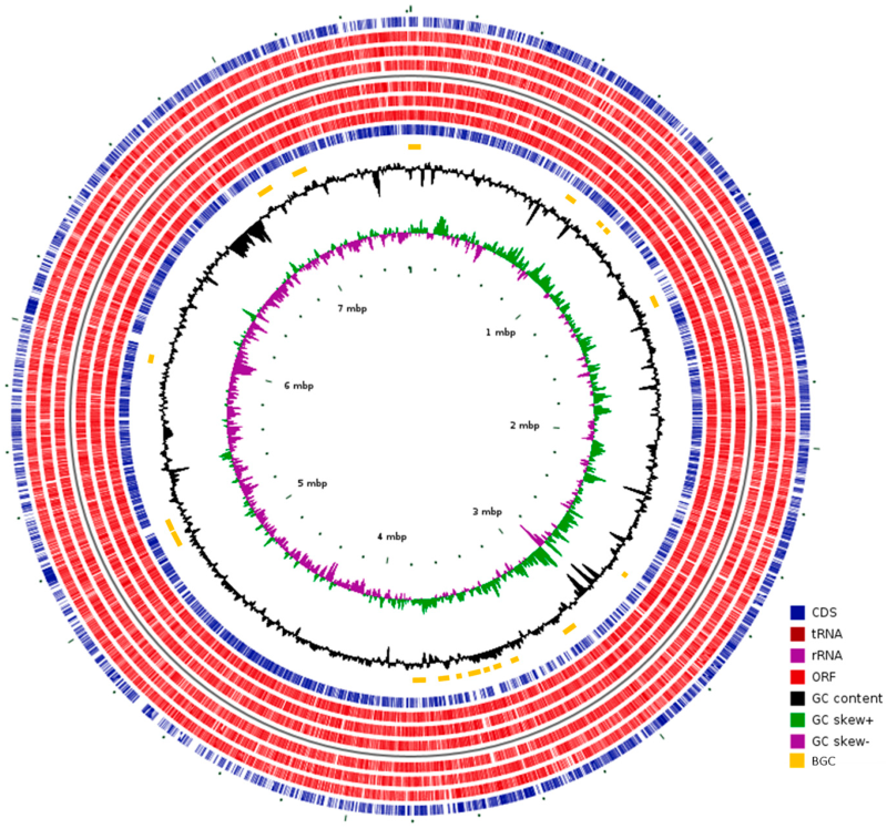 Identificación de las rutas de biosíntesis de sandramicina y kribbellichelinas A y B