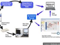 La transferencia de muestras mediante eyección acústica facilita los cribados de alto rendimiento celulares utilizando productos naturales.