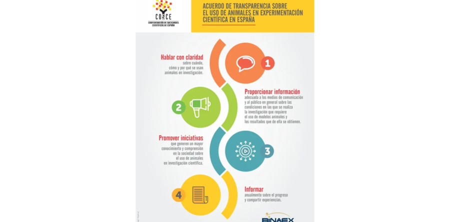 Acuerdo COSCE por la transparencia en la experimentación animal: Informe 2023