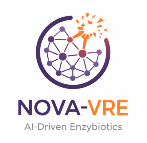 MEDINA participa en el proyecto NOVA-VRE para desarrollar nuevas terapias frente a bacterias resistentes a antibióticos.